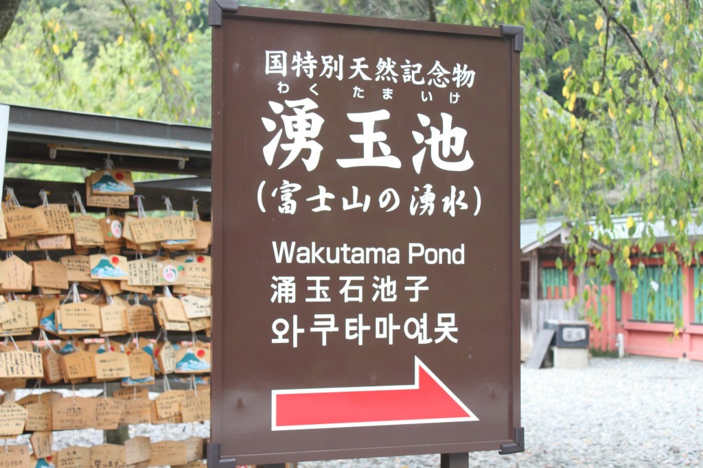 国特別天然記念物「湧玉池」