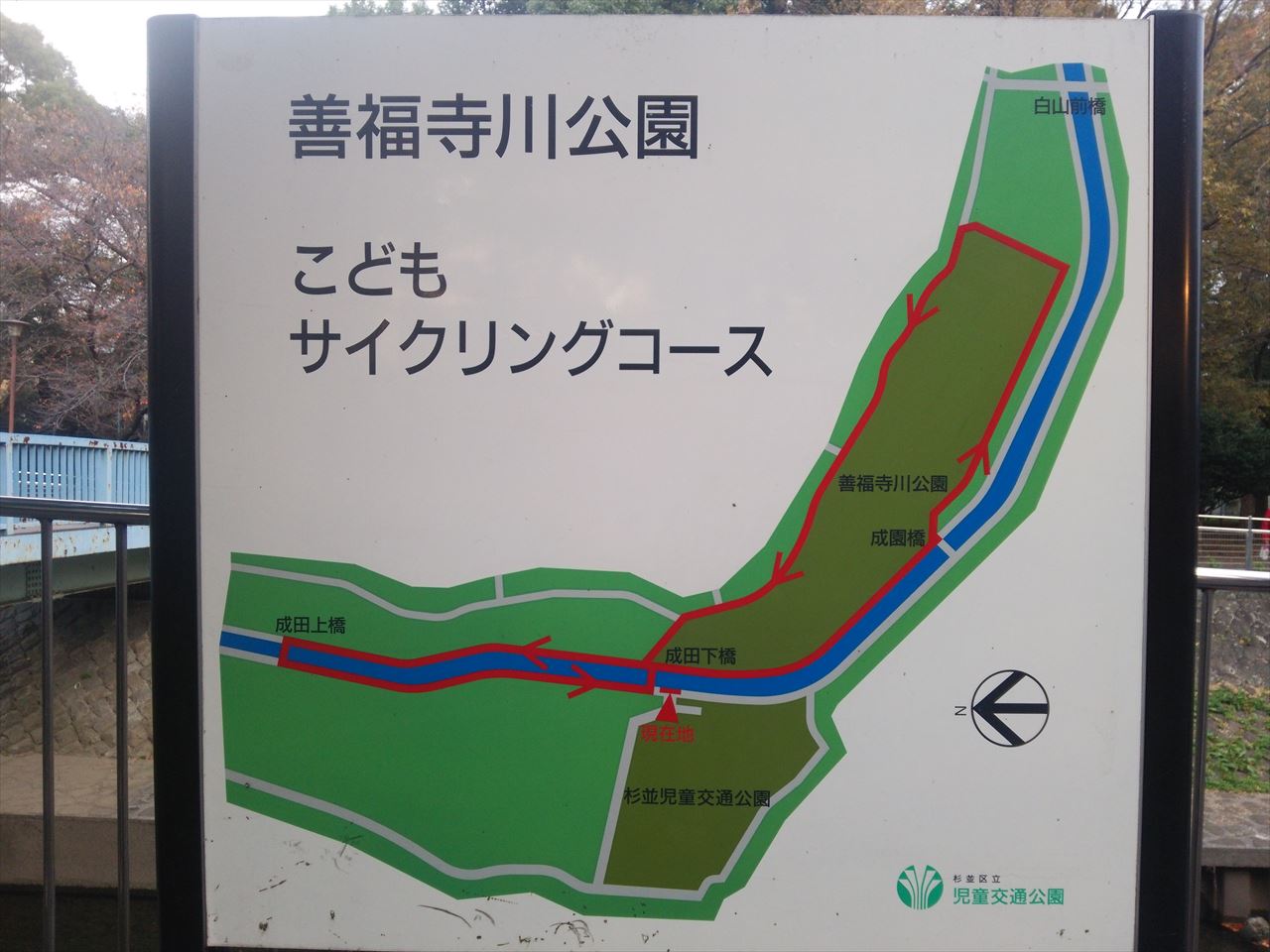 善福寺公園サイクリングコース