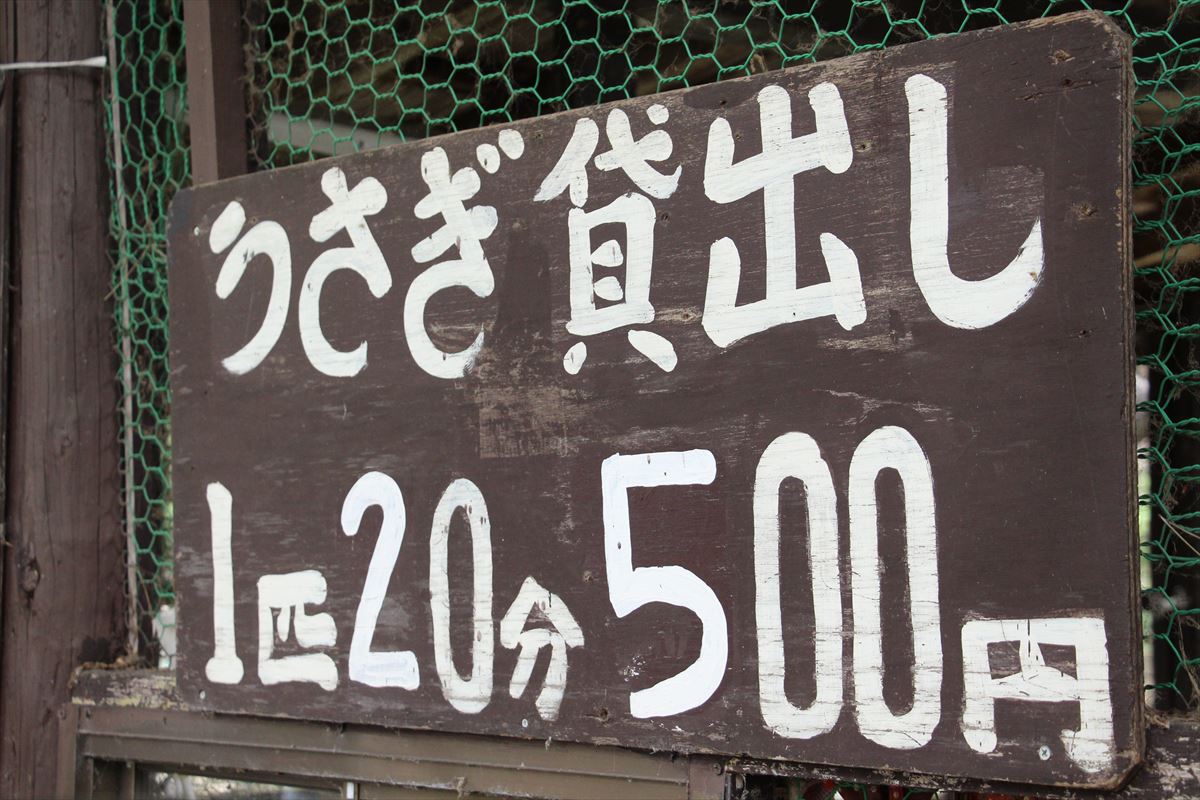 福島県の磐梯南ヶ丘牧場のウサギ貸し出し