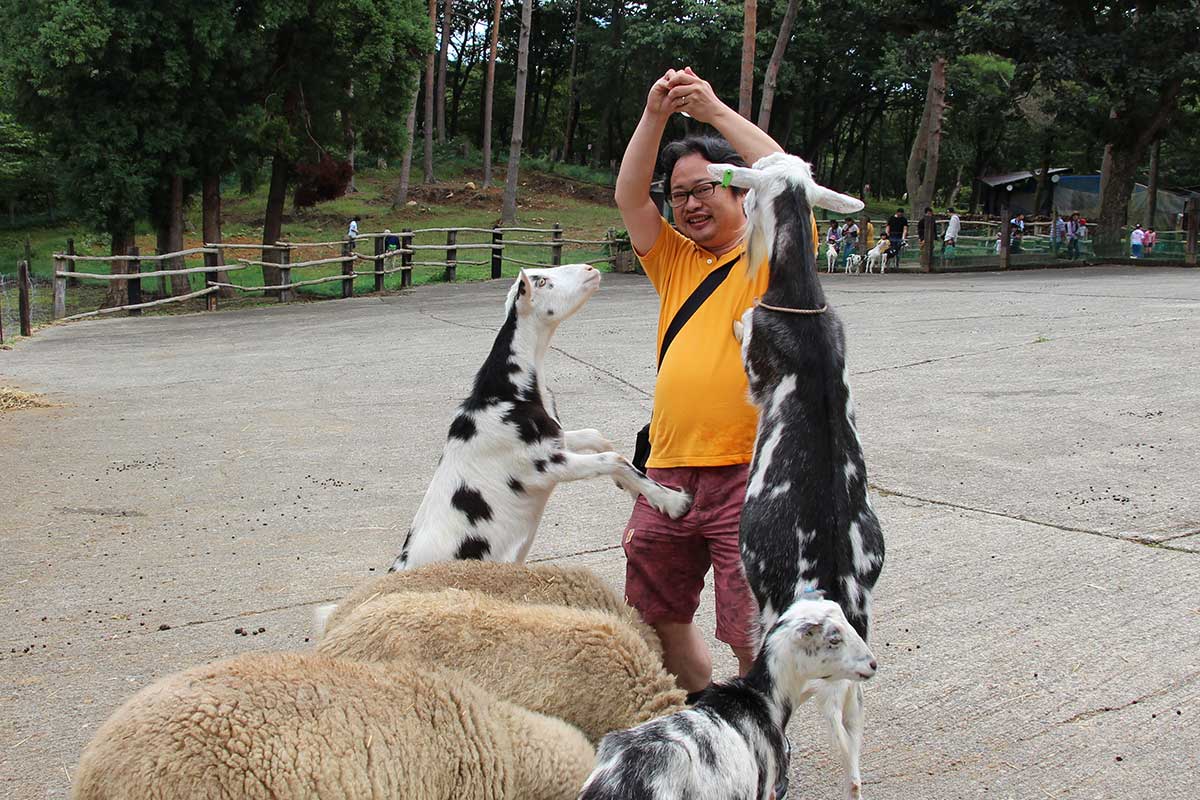 福島県の磐梯南ヶ丘牧場のふれあい広場