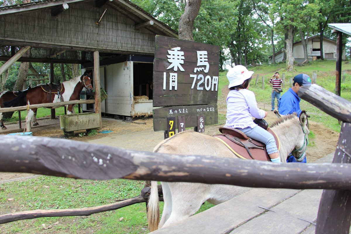 福島県の磐梯南ヶ丘牧場の乗馬体験