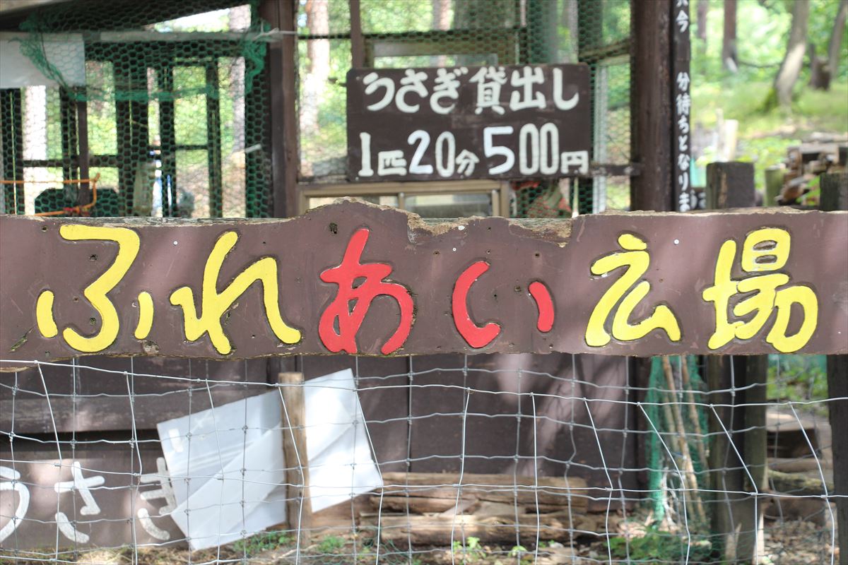 福島県の磐梯南ヶ丘牧場のふれあい広場
