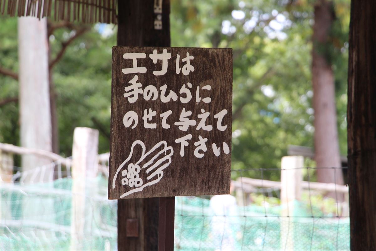 福島県の磐梯南ヶ丘牧場のふれあい広場