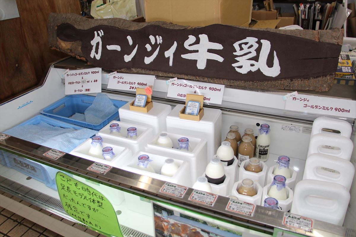 福島県の磐梯南ヶ丘牧場のガーンジィ牛乳