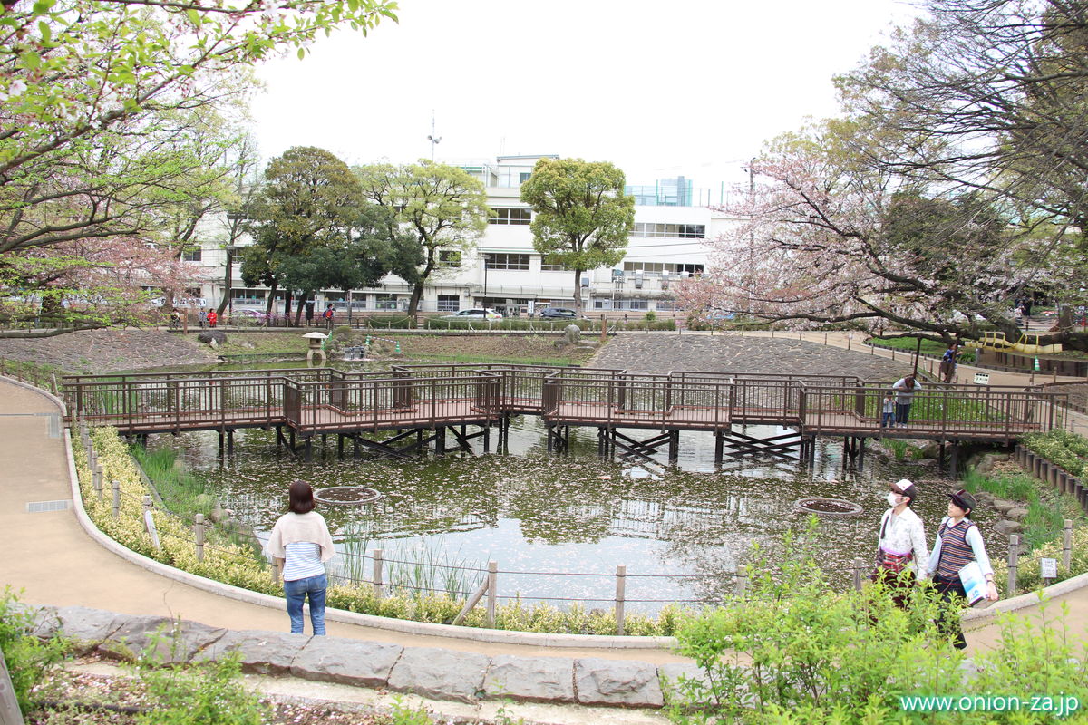 文庫の森公園の池