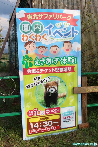 東北サファリパークのレッサーパンダさん