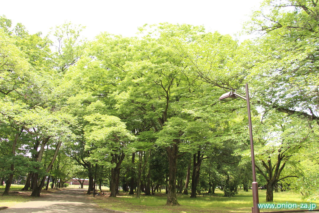 東京都立小金井公園