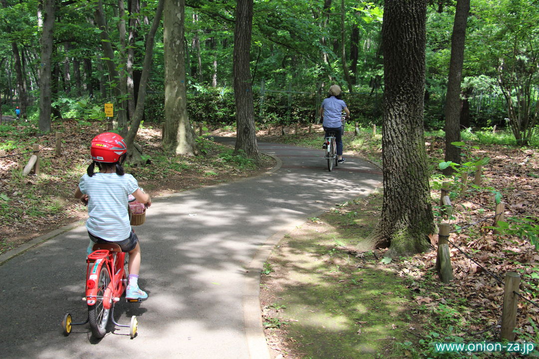 小金井公園サイクリングコースの普通コース